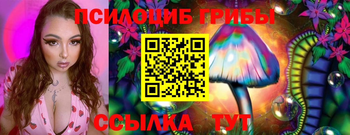 Псилоцибиновые грибы ЛСД Альметьевск